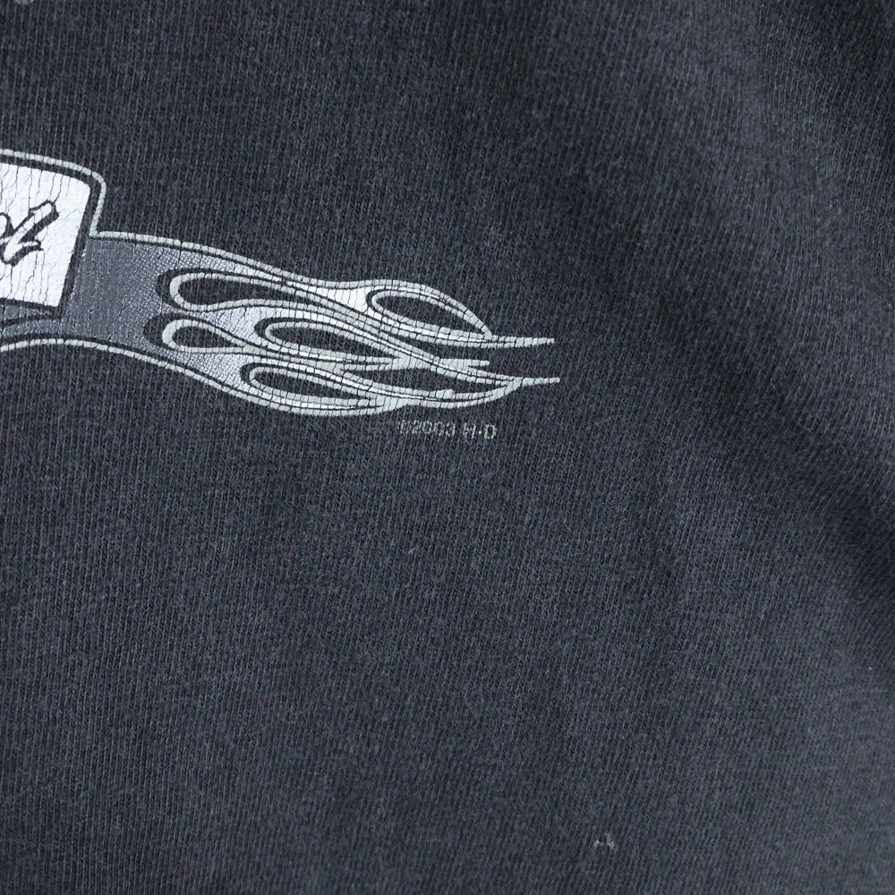 HARLEY DAVIDSON(ハーレーダビッドソン) 00s VINTAGE STURGIS LITHNIG THUNDER COW SKULL HOLOUBEK カウスカル ライトニングサンダー 半袖Tシャツ ブラック/ブルー