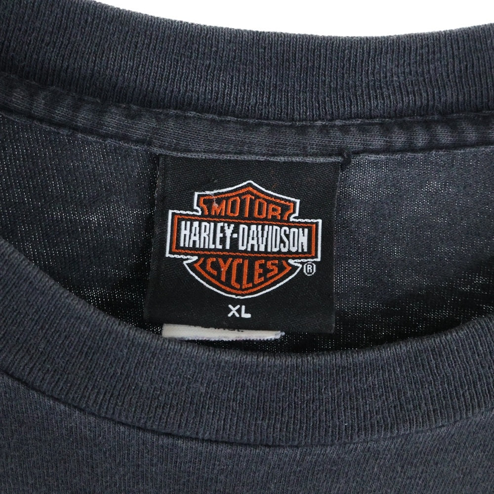 HARLEY DAVIDSON(ハーレーダビッドソン) 00s VINTAGE STURGIS LITHNIG THUNDER COW SKULL HOLOUBEK カウスカル ライトニングサンダー 半袖Tシャツ ブラック/ブルー