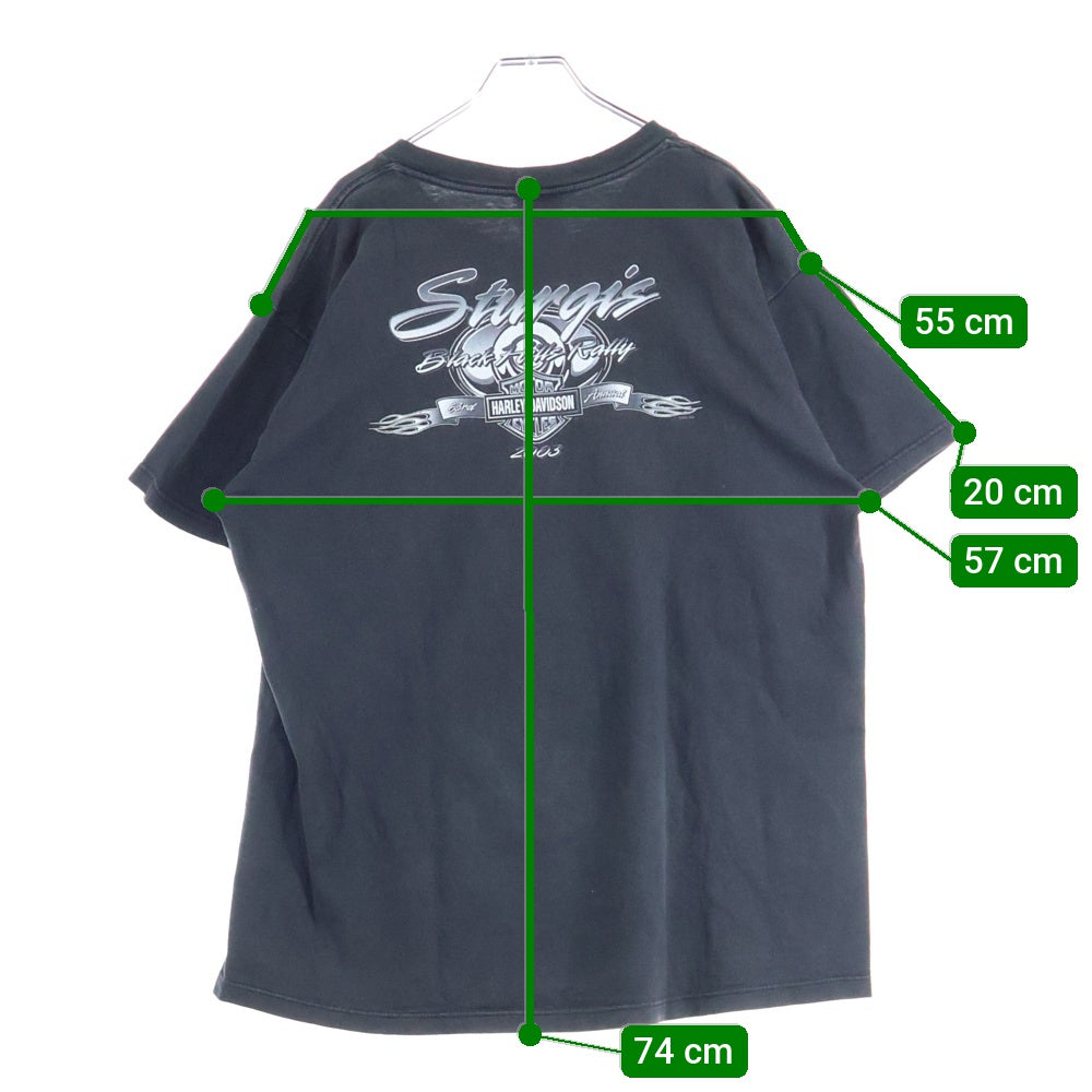 HARLEY DAVIDSON(ハーレーダビッドソン) 00s VINTAGE STURGIS LITHNIG THUNDER COW SKULL HOLOUBEK カウスカル ライトニングサンダー 半袖Tシャツ ブラック/ブルー