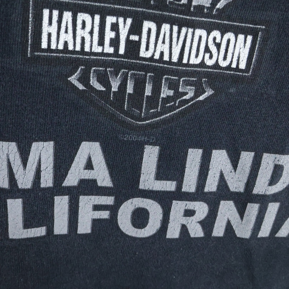HARLEY DAVIDSON(ハーレーダビッドソン) 00s VINTAGE WOLF MOON HOLOUBEK ウルフ 半袖Tシャツ ブラック/ブルー