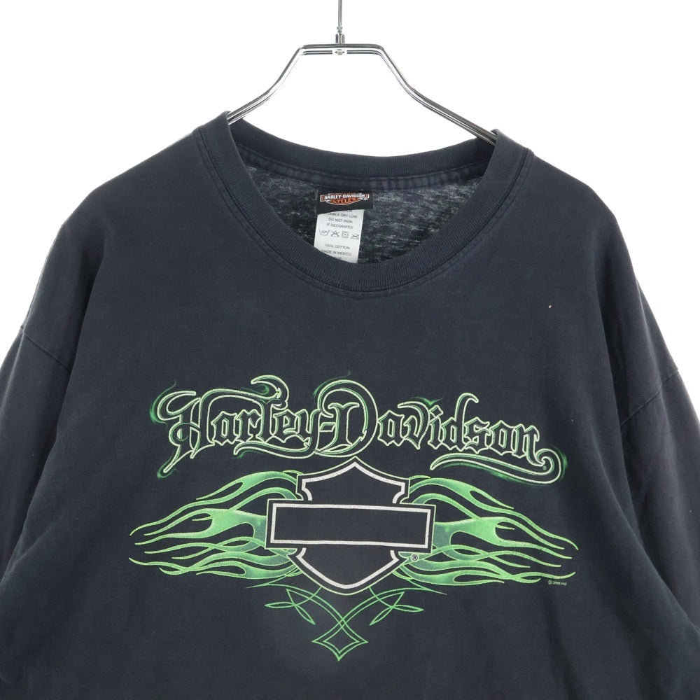 HARLEY DAVIDSON(ハーレーダビッドソン) 00s VINTAGE GREEN FLAMES L/S