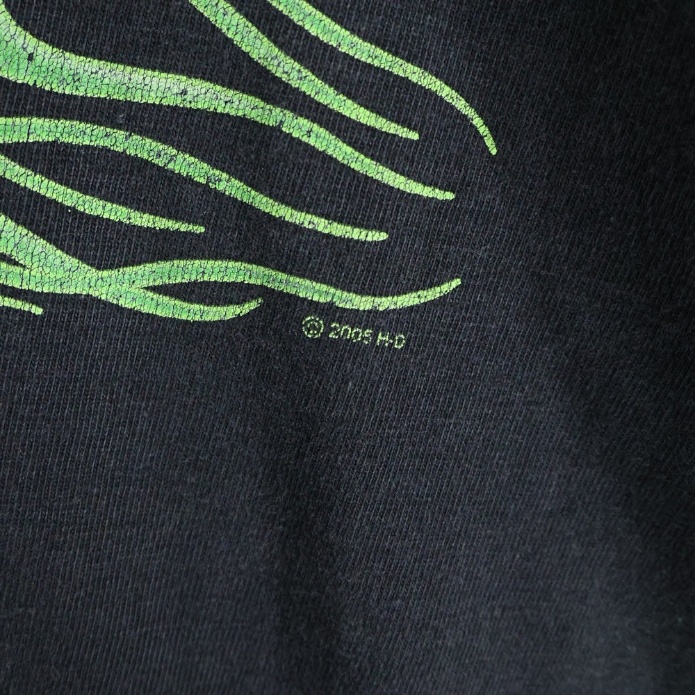 HARLEY DAVIDSON(ハーレーダビッドソン) 00s VINTAGE GREEN FLAMES L/S TEE フレイムス 袖ファイヤー 長袖Tシャツ ブラック/グリーン