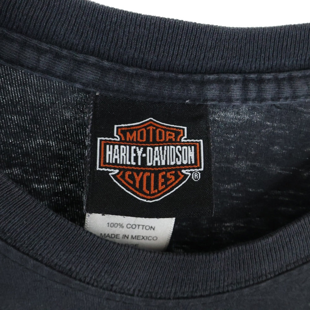 HARLEY DAVIDSON(ハーレーダビッドソン) 00s VINTAGE GREEN FLAMES L/S TEE フレイムス 袖ファイヤー 長袖Tシャツ ブラック/グリーン