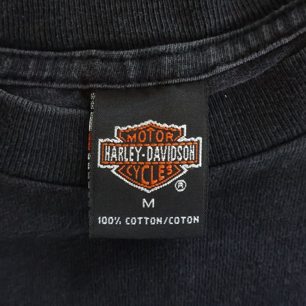 HARLEY DAVIDSON(ハーレーダビッドソン) 00S FULL THROTTLE CONZIAHR DECATUR LL ENGINE FLAME 2001 エンジン フレーム 両面 プリント 半袖Tシャツ カットソー ブラック/ブルー