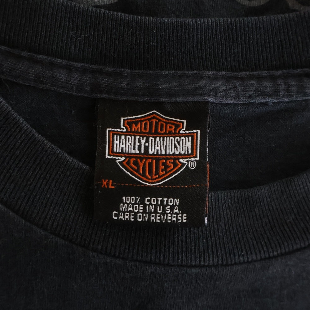 HARLEY DAVIDSON(ハーレーダビッドソン) 00S BAR & SHIELD BLUE LIGHTNING THUNDER L/S TEE バー アンド シールド ブルー サンダー 長袖 カットソー ブラック/ブルー