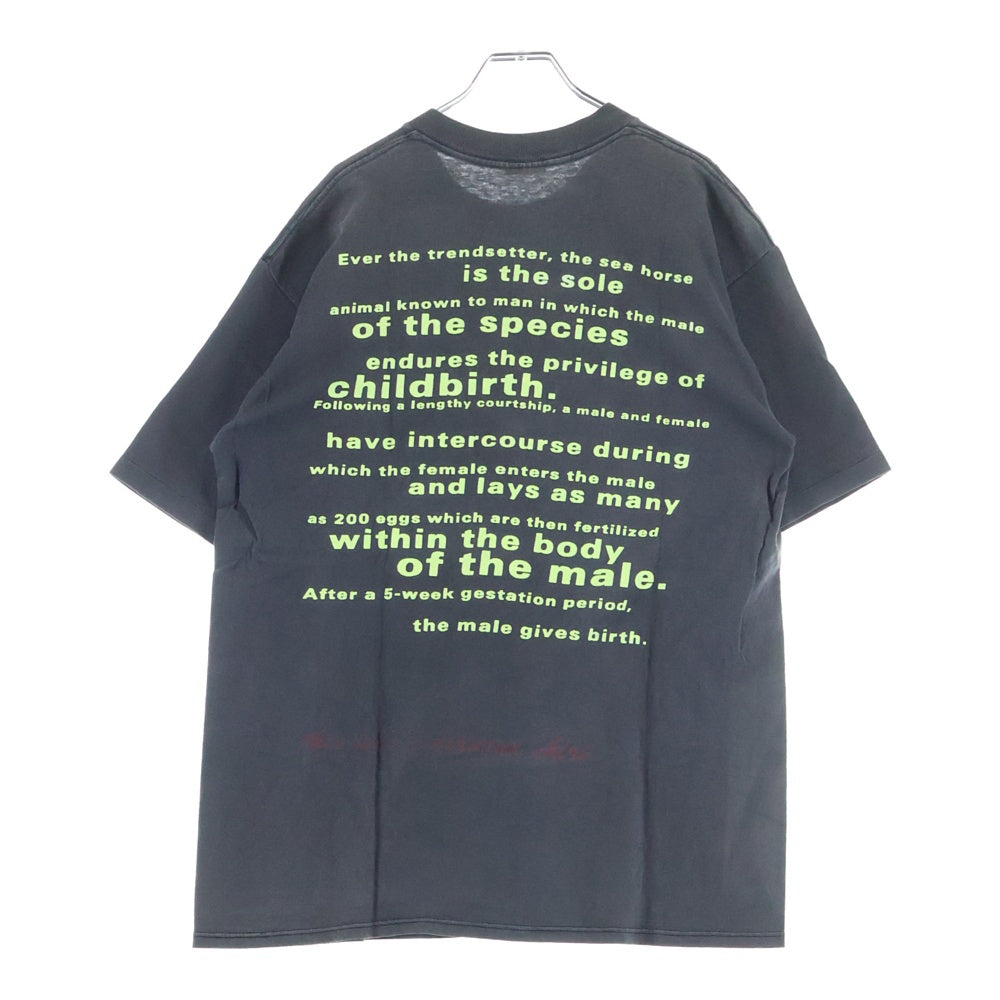 VINTAGE(ヴィンテージ) 90S NIRVANA SEAHORSE COMPETITOR TEE BROCKUN ニルヴァーナ シーホース タツノオトシゴ 半袖Tシャツ カットソー ブラック