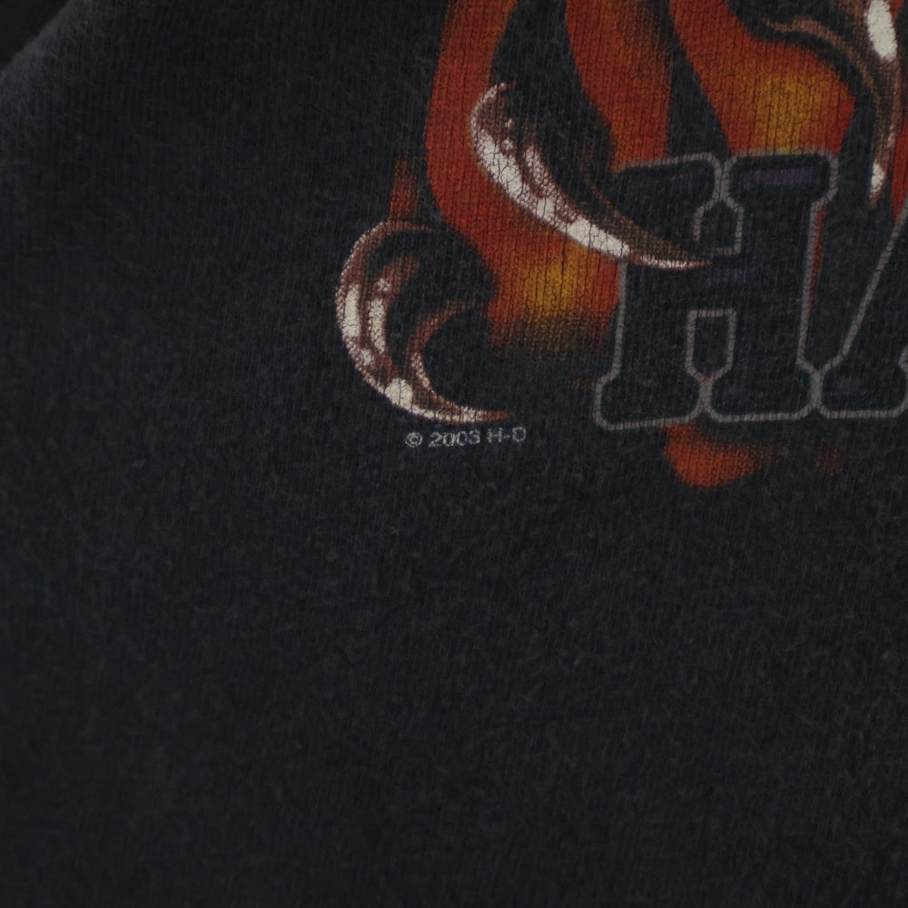 HARLEY DAVIDSON(ハーレーダビッドソン) 90-00S EAGLE FIRE PATTERN FLAME L/S TEE ALAMO CITY イーグル ファイヤーパターン フレーム 長袖Tシャツ カットソー ブラック