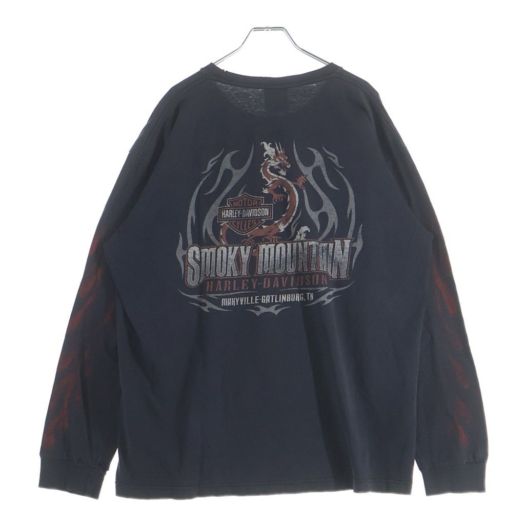 HARLEY DAVIDSON(ハーレーダビッドソン) 90-00S BAR&SHIELD INFERNO FLAME SLEEVE SMOKY MOUNTAIN L/S TEE 袖フレイム 両面プリント 長袖カットソーTシャツ ブラック