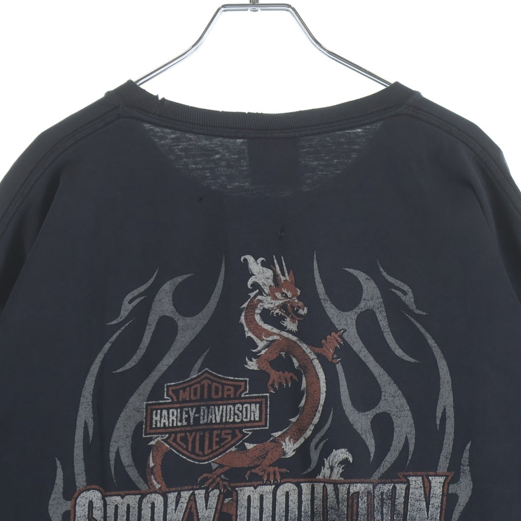 HARLEY DAVIDSON(ハーレーダビッドソン) 90-00S BAR&SHIELD INFERNO FLAME SLEEVE SMOKY MOUNTAIN L/S TEE 袖フレイム 両面プリント 長袖カットソーTシャツ ブラック