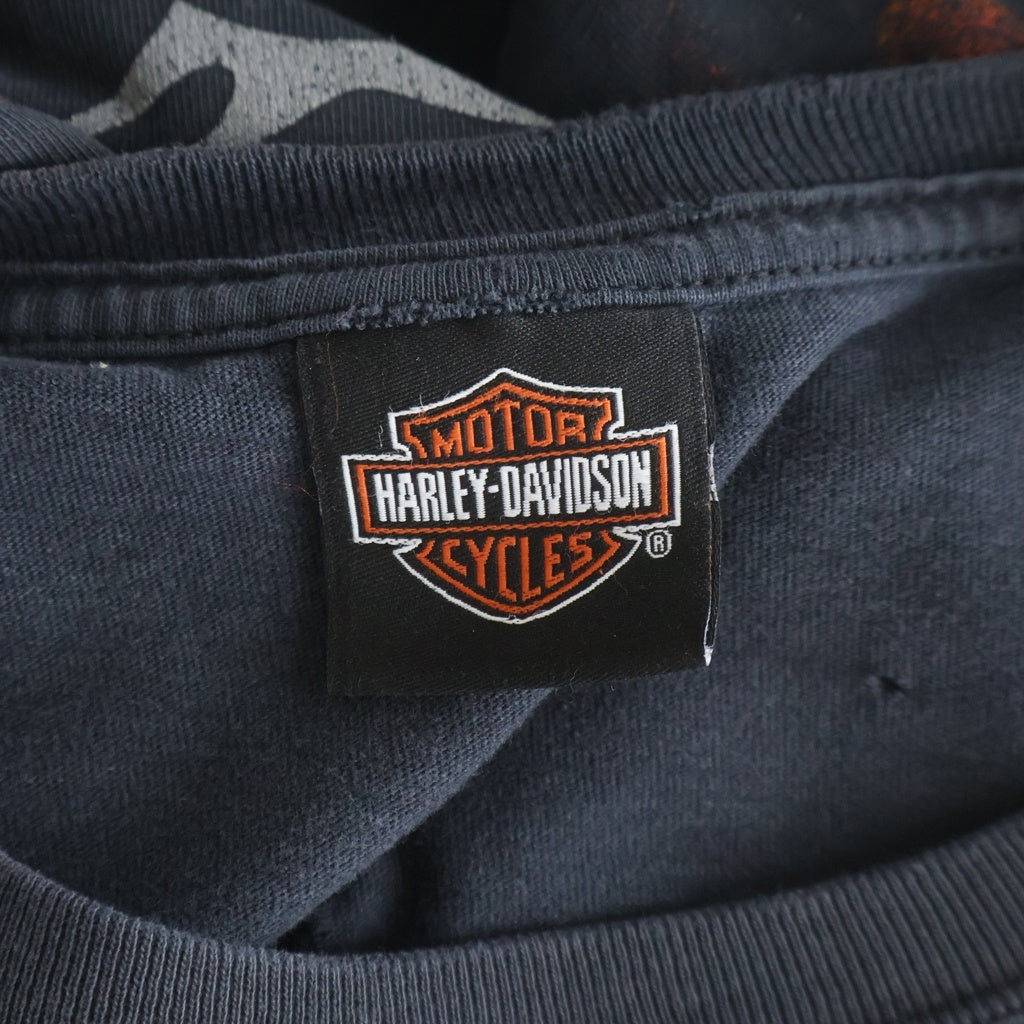 HARLEY DAVIDSON(ハーレーダビッドソン) 90-00S BAR&SHIELD INFERNO FLAME SLEEVE SMOKY MOUNTAIN L/S TEE 袖フレイム 両面プリント 長袖カットソーTシャツ ブラック