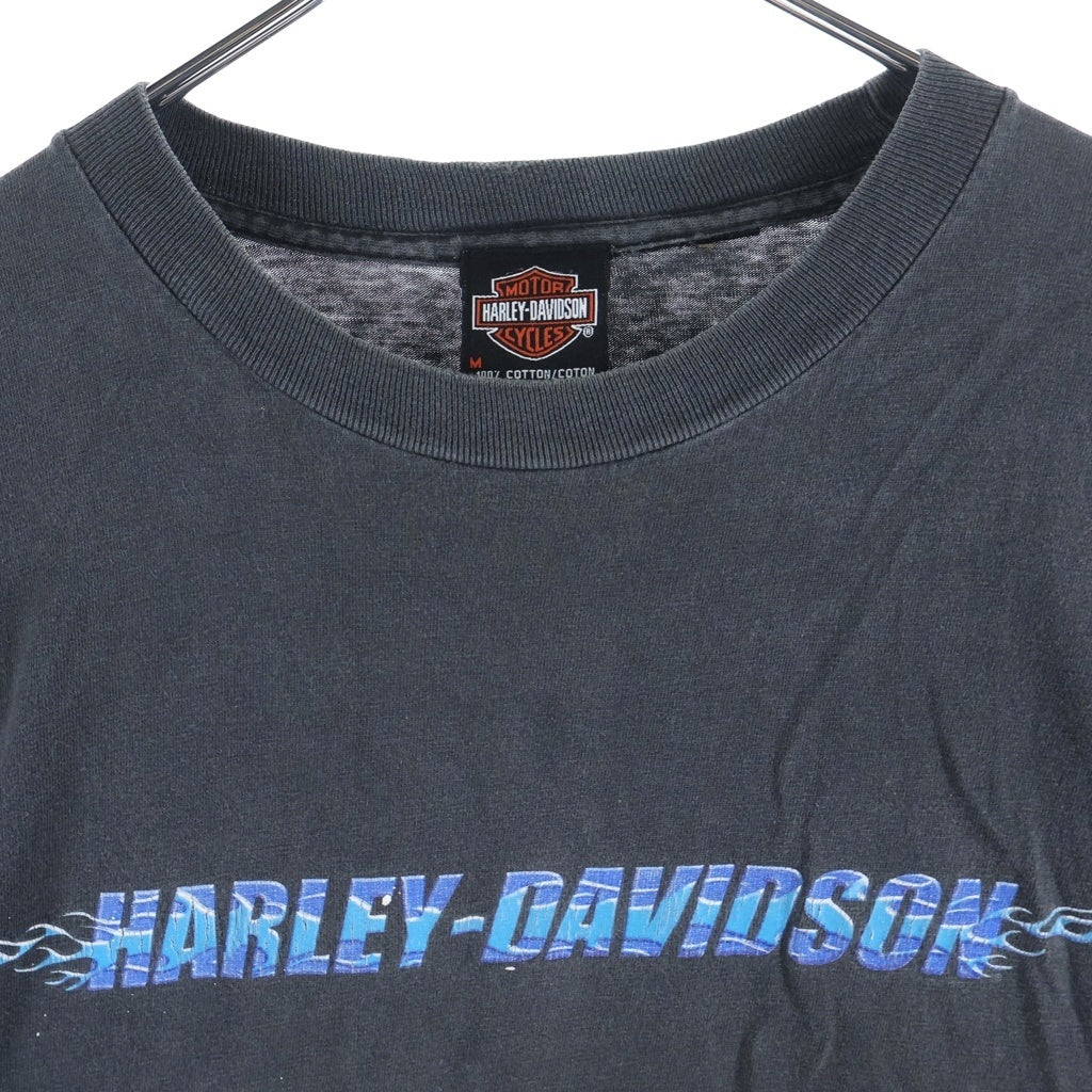 HARLEY DAVIDSON(ハーレーダビッドソン) 00S VINTAGE BLUE FLAME SLEEVE LOGO PRINT L/S TEE 袖ブルーフレイム 両面プリント長袖カットソーTシャツ ブラック