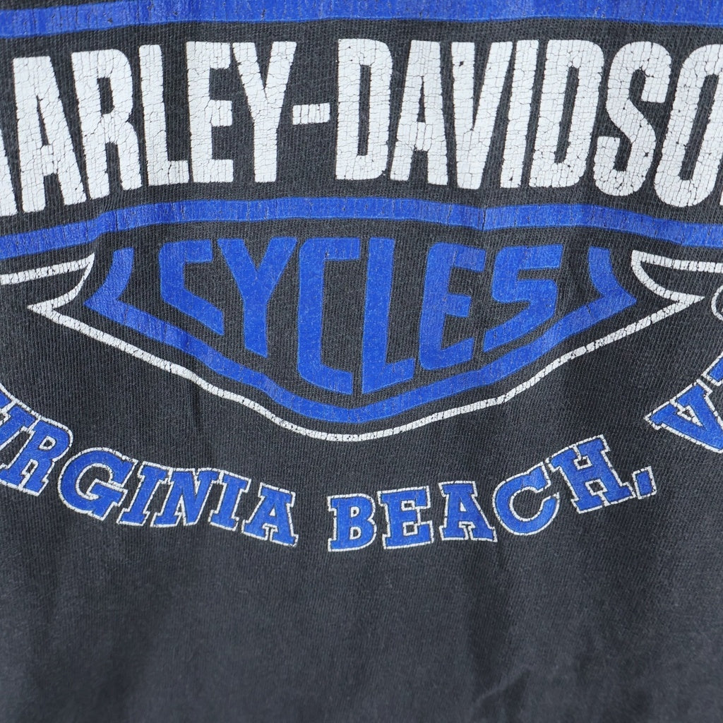 HARLEY DAVIDSON(ハーレーダビッドソン) 00S VINTAGE BLUE FLAME SLEEVE LOGO PRINT L/S TEE 袖ブルーフレイム 両面プリント長袖カットソーTシャツ ブラック