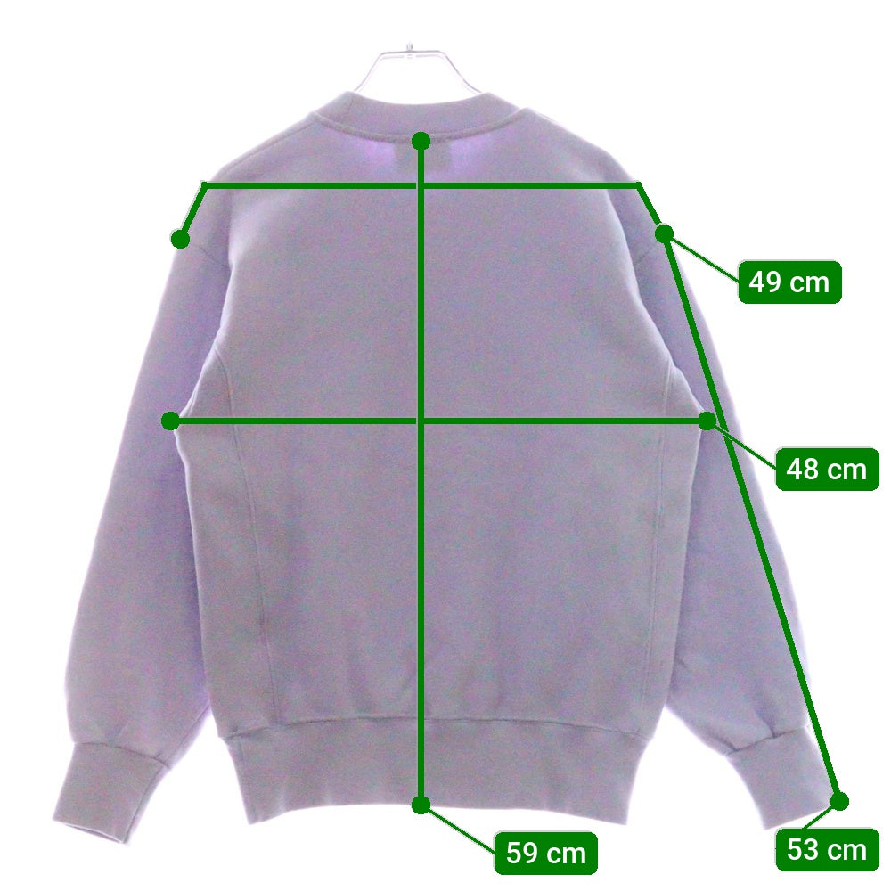 Aries(アリエス) Premium Temple Sweatshirt プレミアムテンプルスウェットシャツ 長袖クルーネックトレーナー SSAR20000 パープル