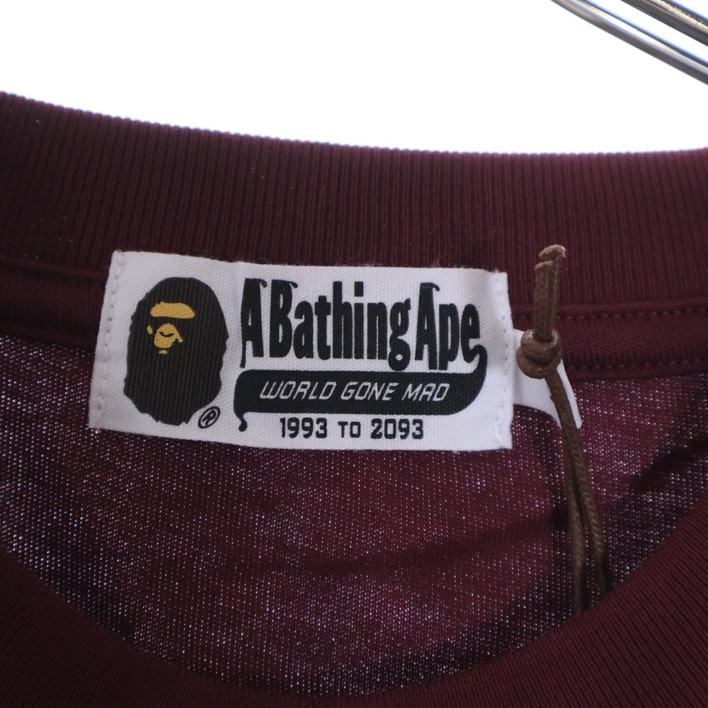 A BATHING APE(アベイシングエイプ) Collage Logo T-shirts カレッジロゴTシャツ ロゴプリント半袖Tシャツ 001CSJ801061I バーガンディ