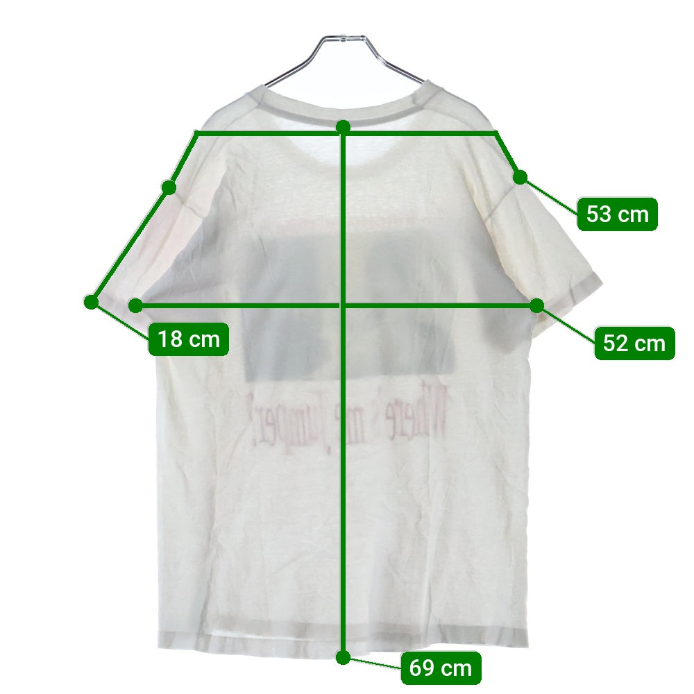 VINTAGE(ヴィンテージ) 90s Sultans of ping サルタンズ オブ ピンプリント 半袖カットソー クルーネック Tシャツ ホワイト