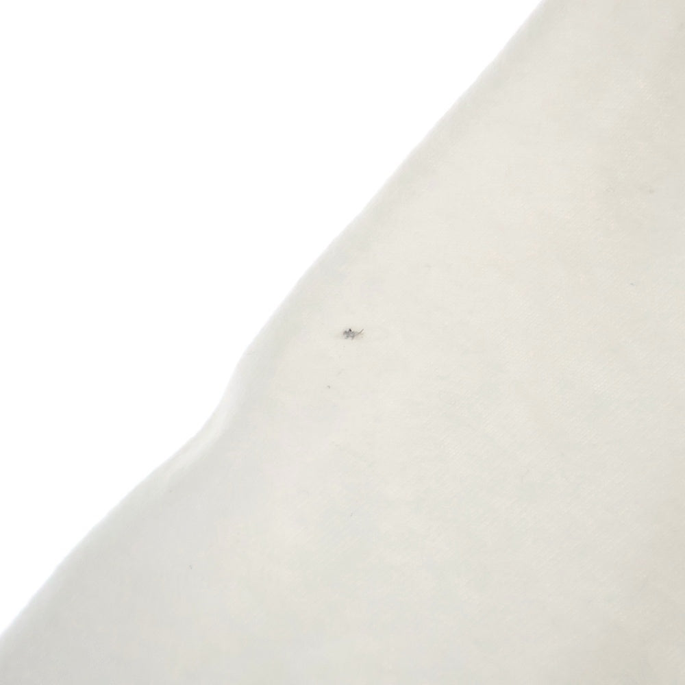 STUSSY(ステューシー) HIGH TIDE TEE ハイタイド 半袖Tシャツ カットソー ホワイト