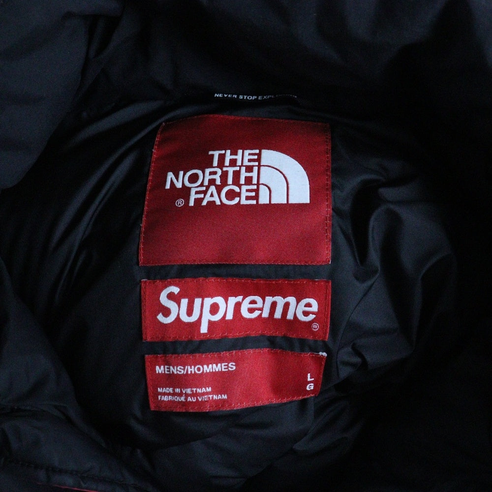 SUPREME(シュプリーム) 19AW ×THE NORTH FACE Statue of Liberty Baltoro 自由の女神 プリント バルトロ ダウンジャケット レッド ND91901I