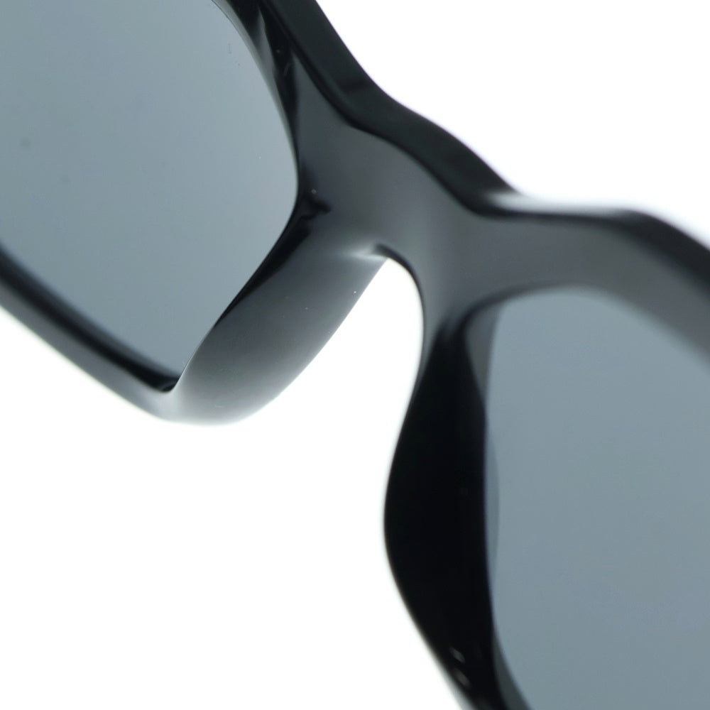 VERSACE(ヴェルサーチ) Medusa Biggie Sunglasses メドゥーサ ビギーサングラス 眼鏡 アイウェア ブラック 4361