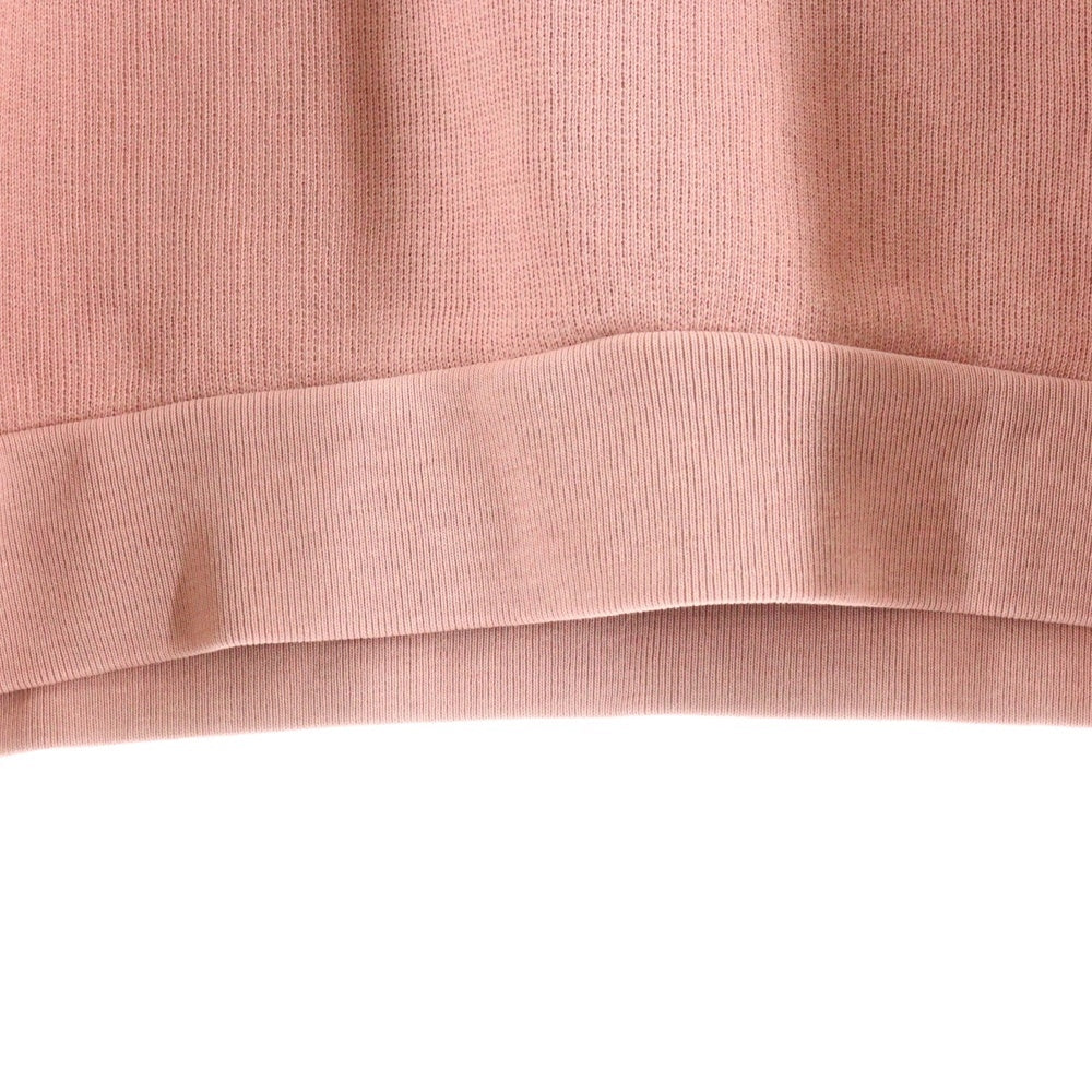 Acne Studios(アクネ ストゥディオズ) Hoodie バックロゴ プルオーバースウェットパーカー フーディー ピンク CI0138-