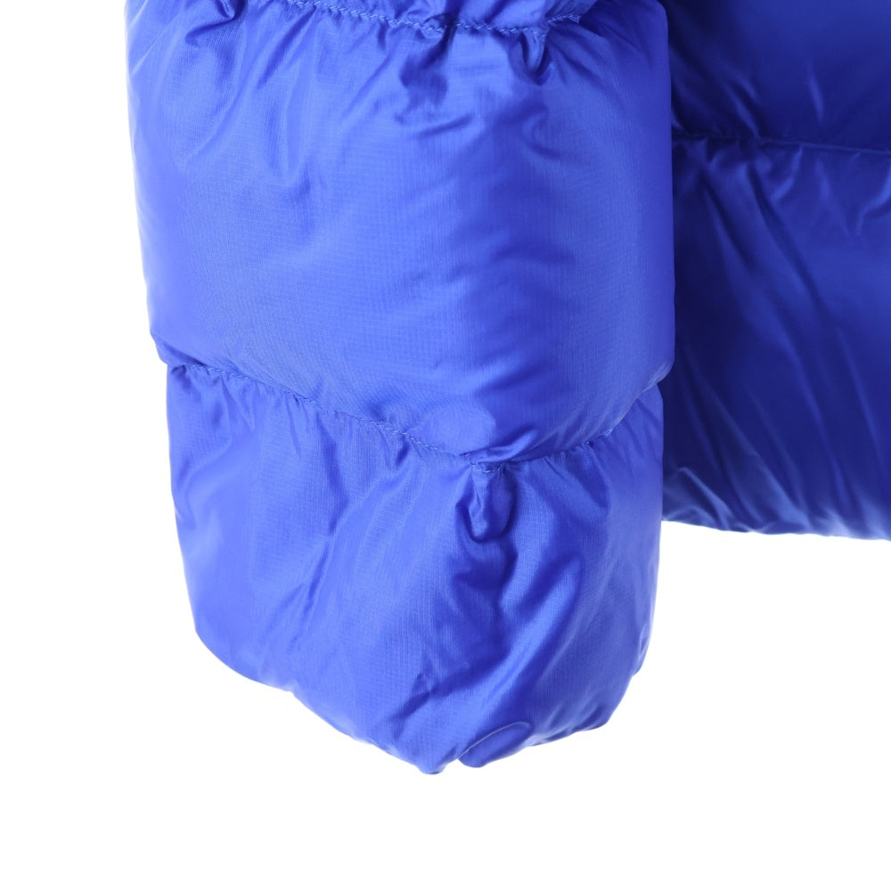 PATAGONIA(パタゴニア) 23AW FITZ ROY DOWN HOODY フィッツロイ ダウンジャケット ブルー STY85500