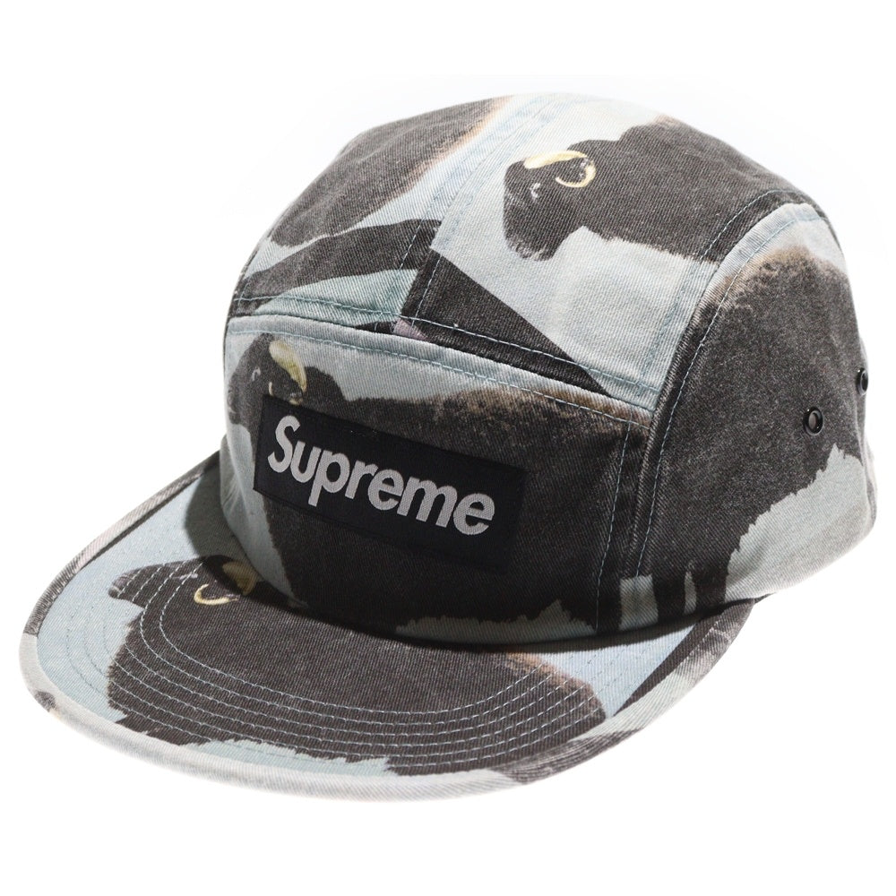 SUPREME(シュプリーム) 25SS Damian Hirst Camp Cap ボックスロゴ ダミアンハースト キャンプキャップ 帽子 グレー