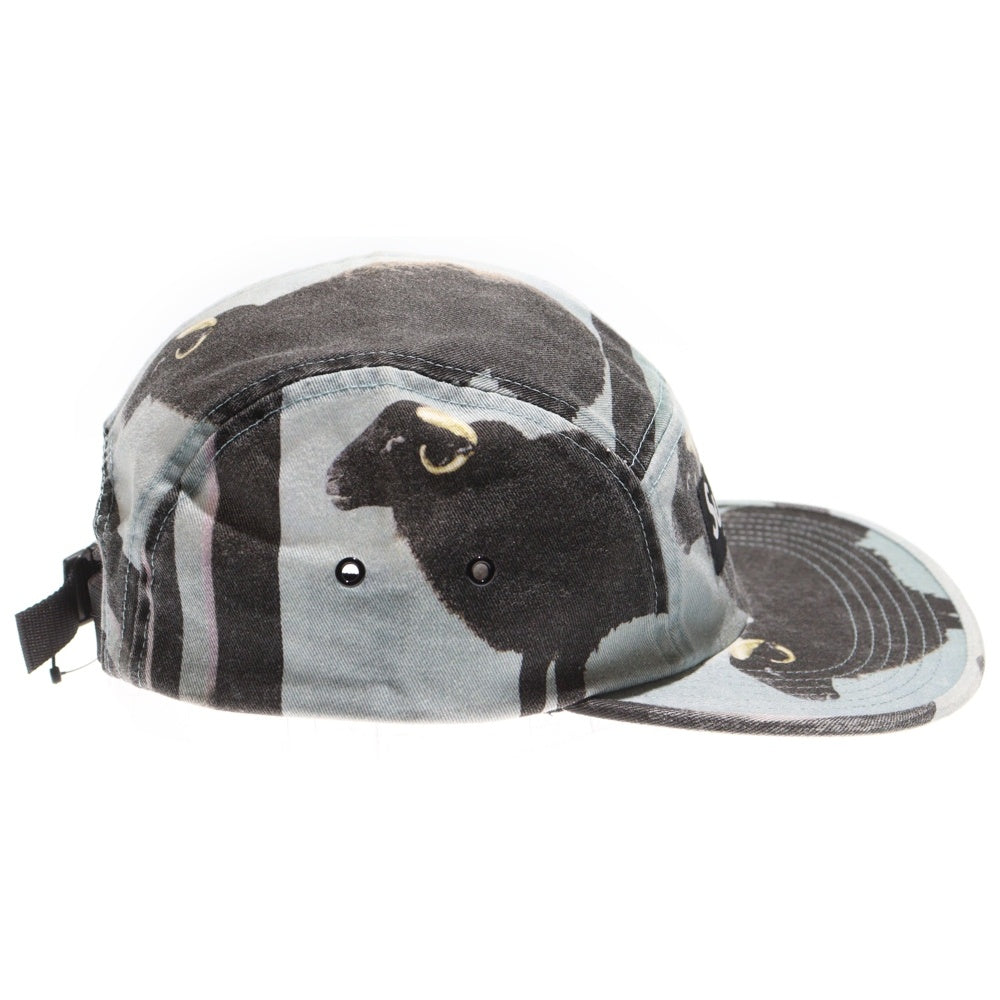 SUPREME(シュプリーム) 25SS Damian Hirst Camp Cap ボックスロゴ ダミアンハースト キャンプキャップ 帽子 グレー