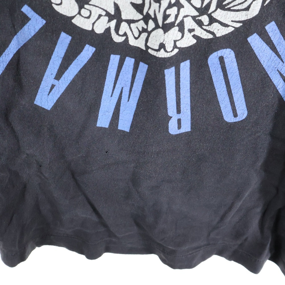 SAINT MICHAEL(セントマイケル) 24SS SS TEE IDEOLOGICAL ダメージ加工 半袖Tシャツ グレー SM-YS1-0000-005