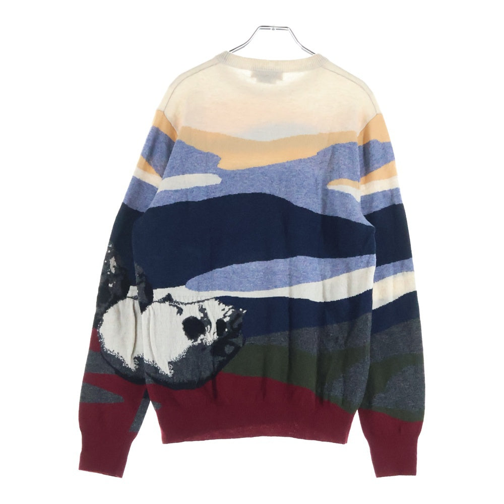 Alexander McQueen(アレキサンダーマックイーン) スカルプリント クルーネックウールニットセーター マルチ 576019 Q1ALK