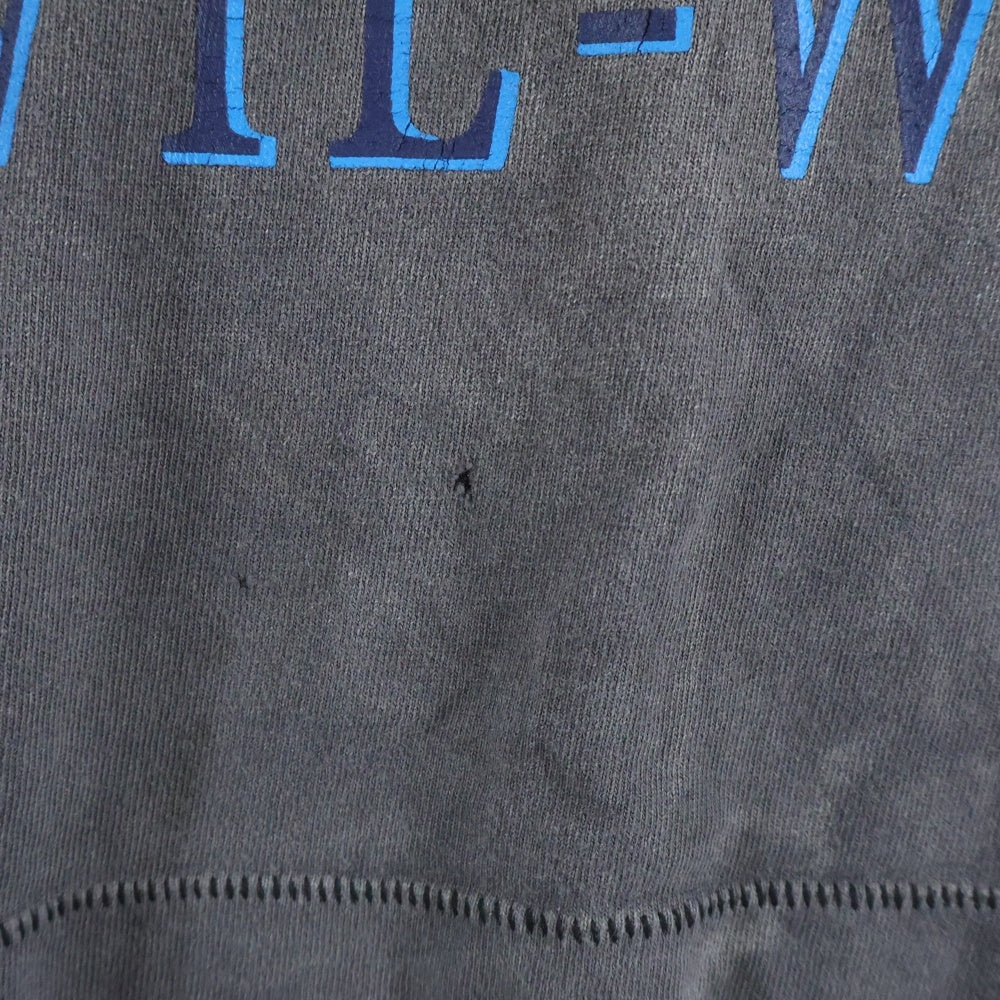 SAINT MICHAEL(セントマイケル) 23AW SURVIVE L/S TEE サバイブ クルーネック 長袖カットソー Tシャツ グレー SM-A23-0000-006