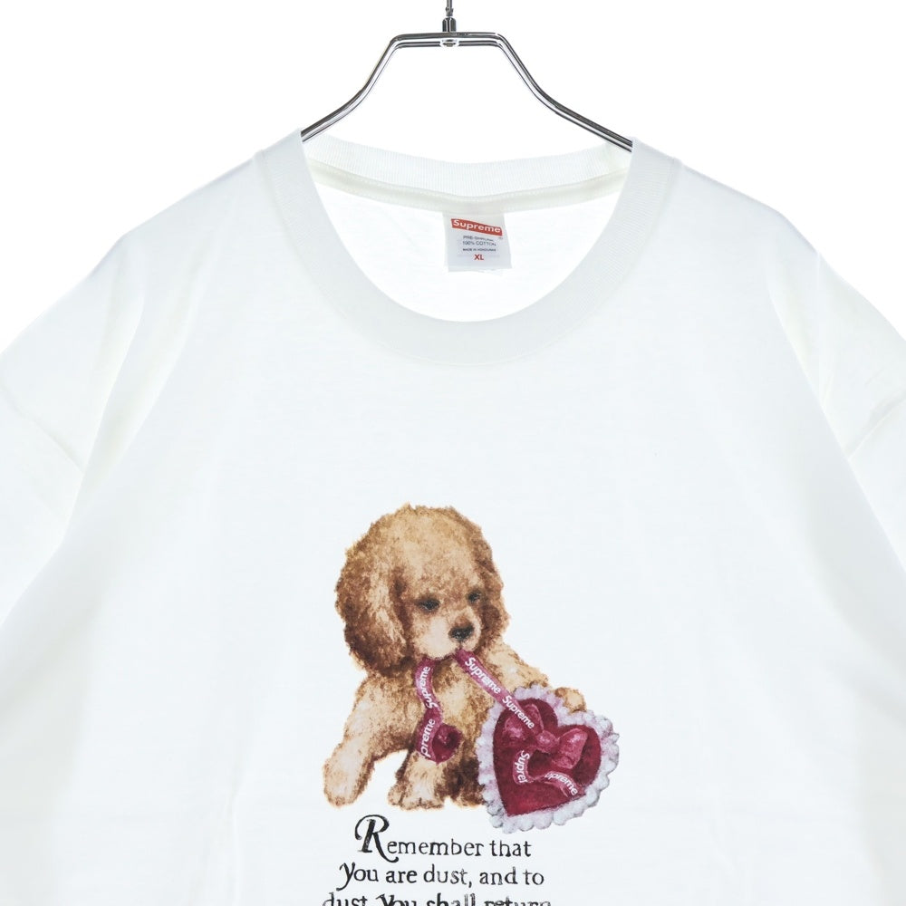 SUPREME(シュプリーム) 25AW Dust Tee ダスト 半袖Tシャツ カットソー ホワイト
