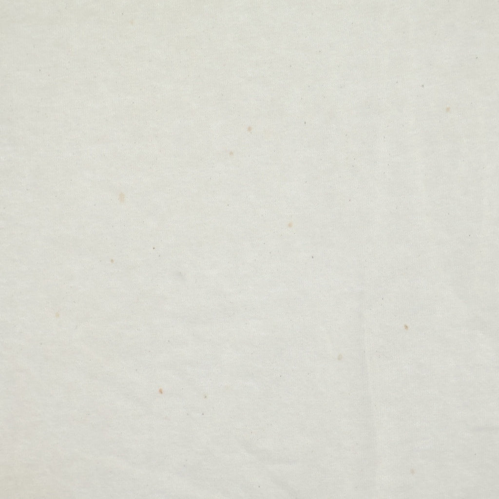 STUSSY(ステューシー) 90S VINTAGE SX250 ヴィンテージ バイクロゴデザイン クルーネック カットソー 半袖Tシャツ ホワイト