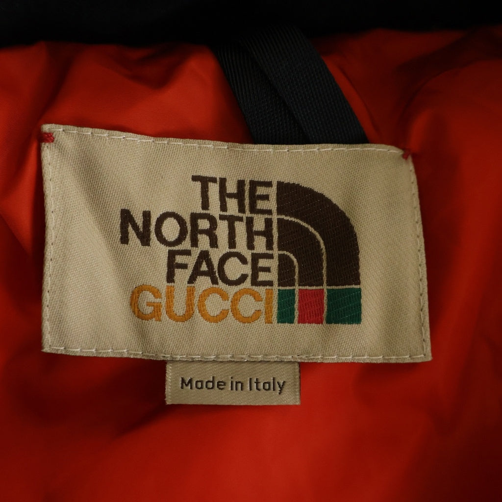 GUCCI(グッチ) ×THE NORTH FACE GG Padded Short Jacket GGパテッド ジップアップ ダウンジャケット ブラウン 670909