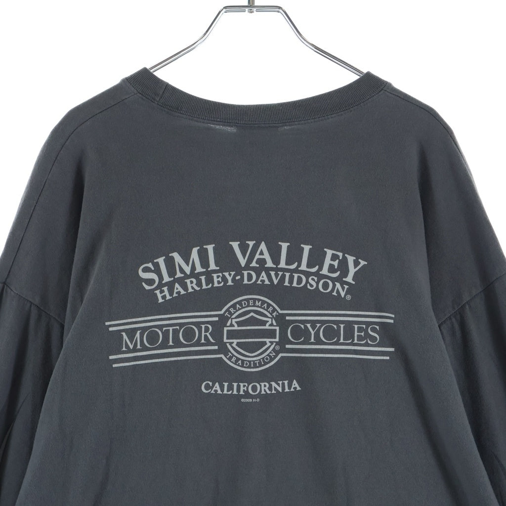 HARLEY DAVIDSON(ハーレーダビッドソン) 00S VINTAGE FLAME TEE ヴィンテージ ロゴデザイン 袖フレームデザイン クルーネック カットソー 長袖Tシャツ グレー