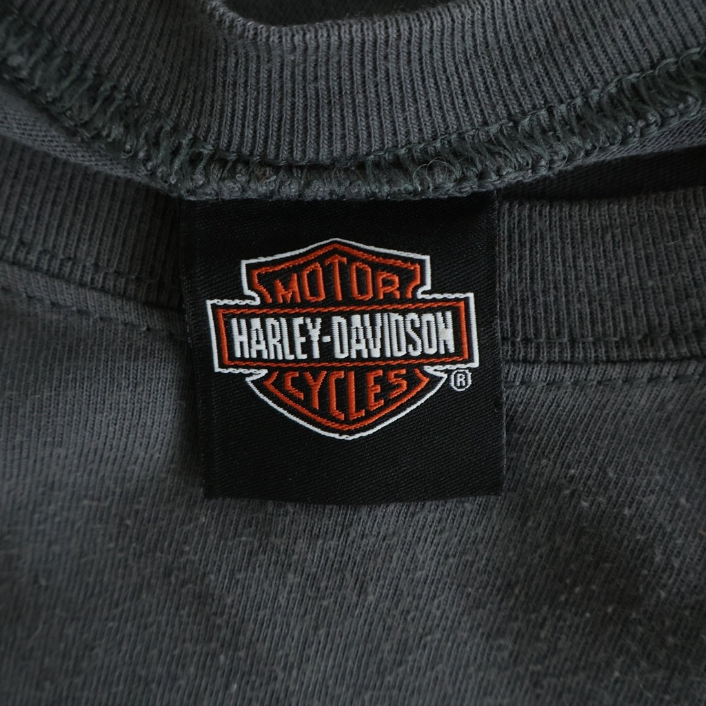 HARLEY DAVIDSON(ハーレーダビッドソン) 00S VINTAGE FLAME TEE ヴィンテージ ロゴデザイン 袖フレームデザイン クルーネック カットソー 長袖Tシャツ グレー