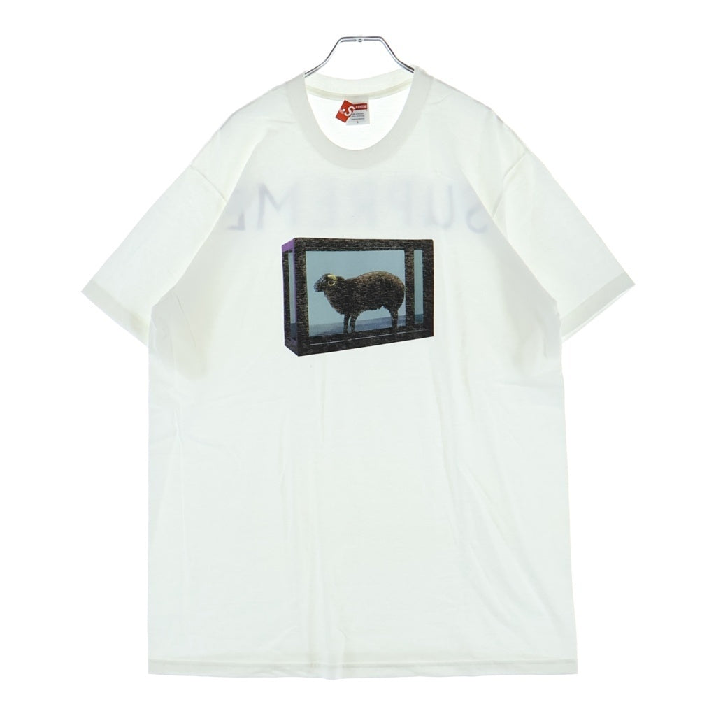SUPREME(シュプリーム) 25SS ×Damien Hirst Tee ダミエン ハースト ロゴデザイン クルーネック カットソー 半袖Tシャツ ホワイト