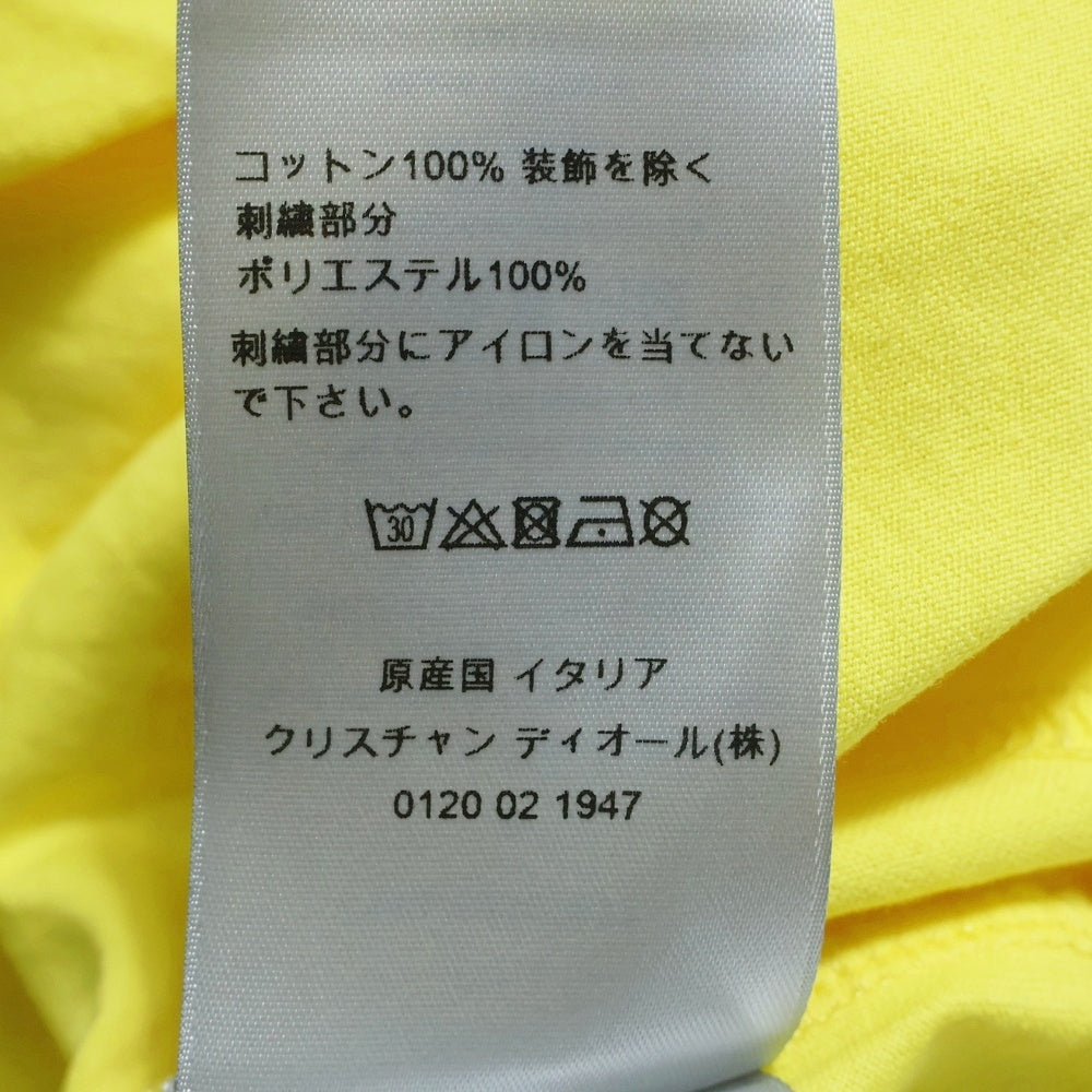 DIOR(ディオール) 21AW ×Peter Doig Logo Tee ピータードイグ フロントロゴ刺繍 半袖Tシャツ イエロー 143J685C0677