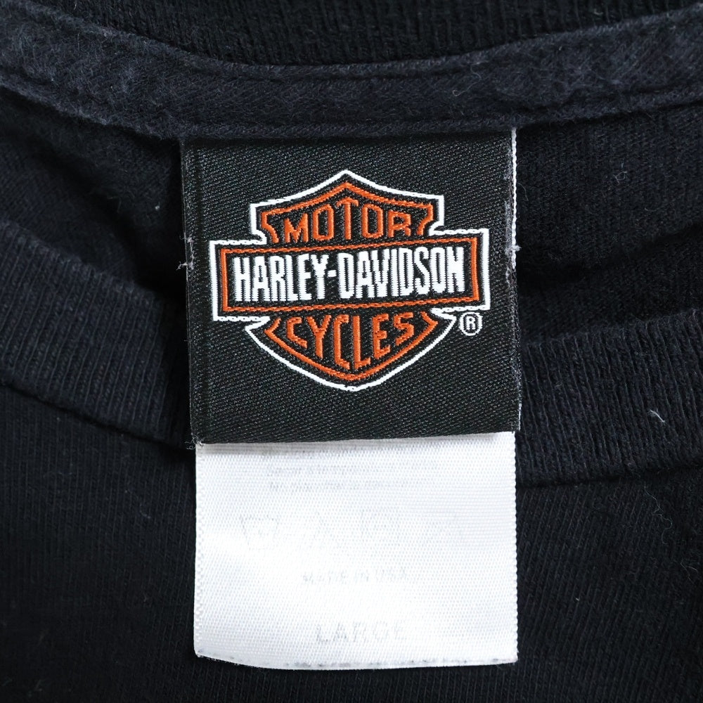 VINTAGE(ヴィンテージ) 20s HARLEY DAVIDSON ハーレーダビッドソン スカルプリント 両面プリントTシャツ 半袖カットソー ブラック