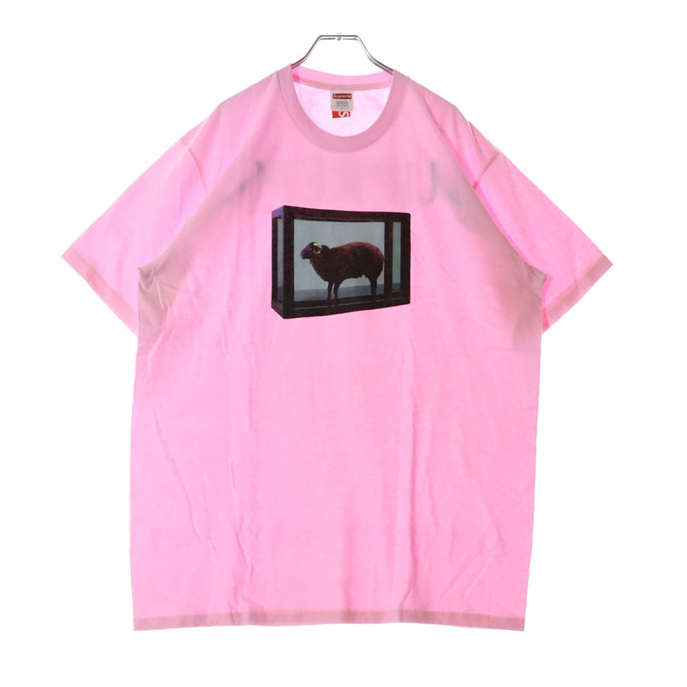 SUPREME(シュプリーム) 25SS Damien Hirst Tee ダミアンハースト プリント クルーネック 半袖Tシャツ カットソー ピンク