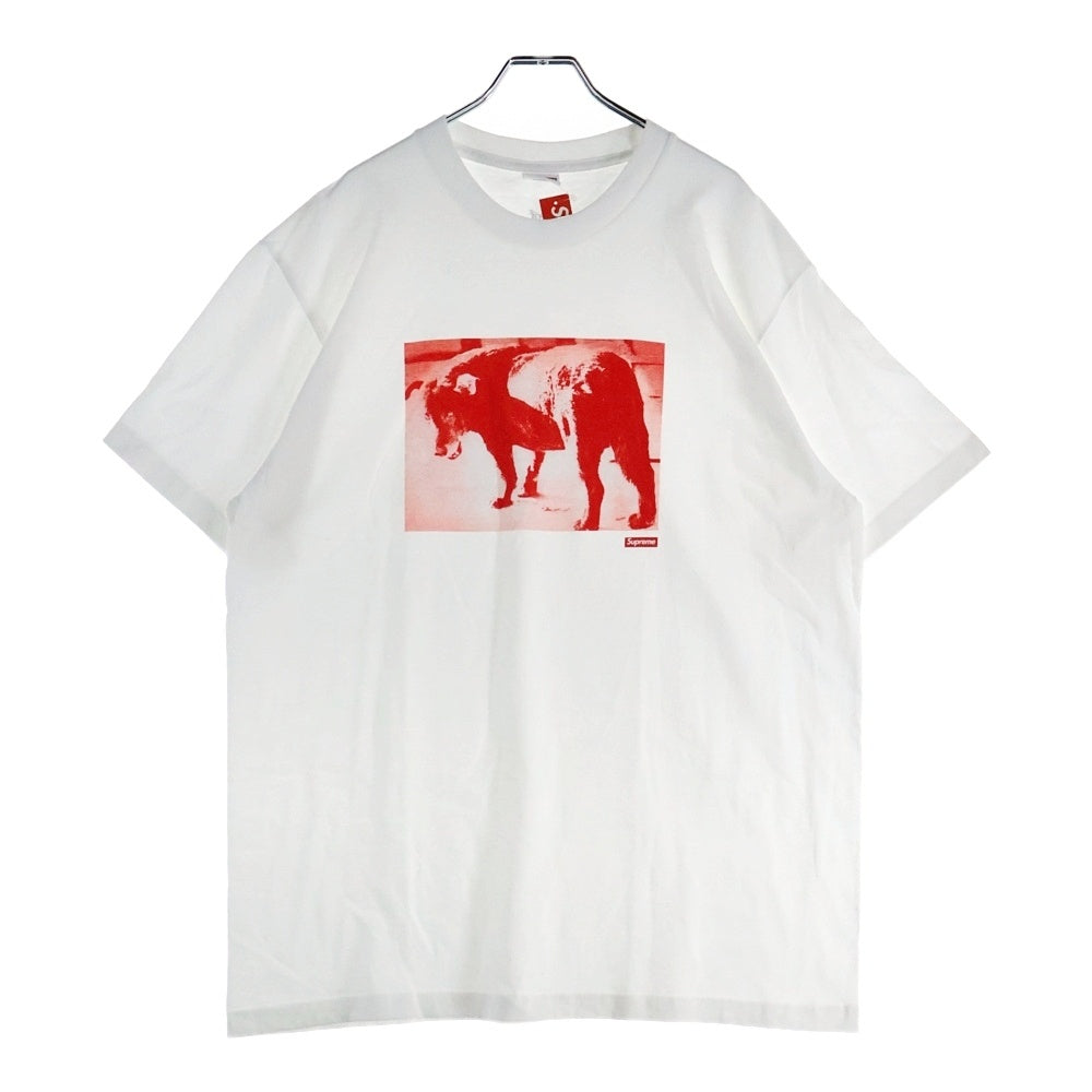 SUPREME(シュプリーム) 22SS Daido Moriyama Dog Tee 森山大道 ドッグ フォトプリント クルーネック 半袖Tシャツ カットソー ホワイト