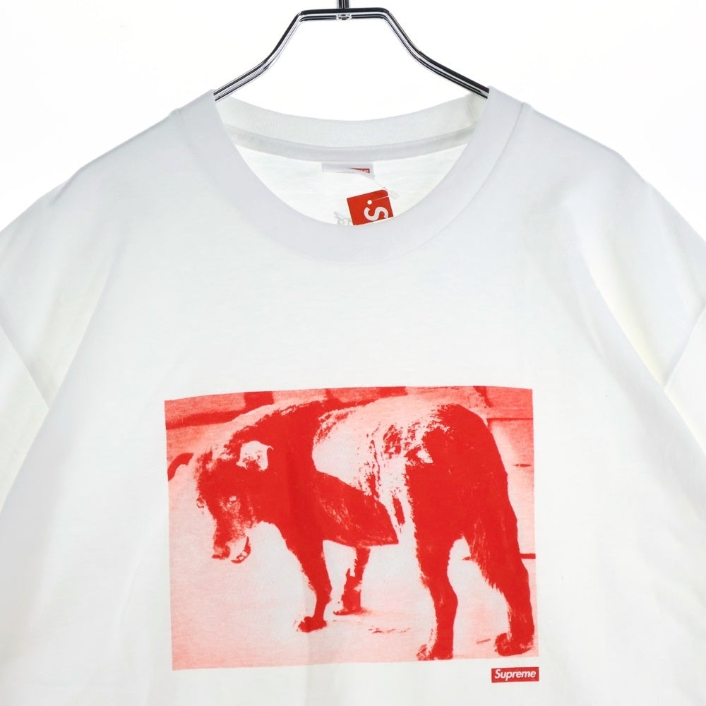 SUPREME(シュプリーム) 22SS Daido Moriyama Dog Tee 森山大道 ドッグ フォトプリント クルーネック 半袖Tシャツ カットソー ホワイト
