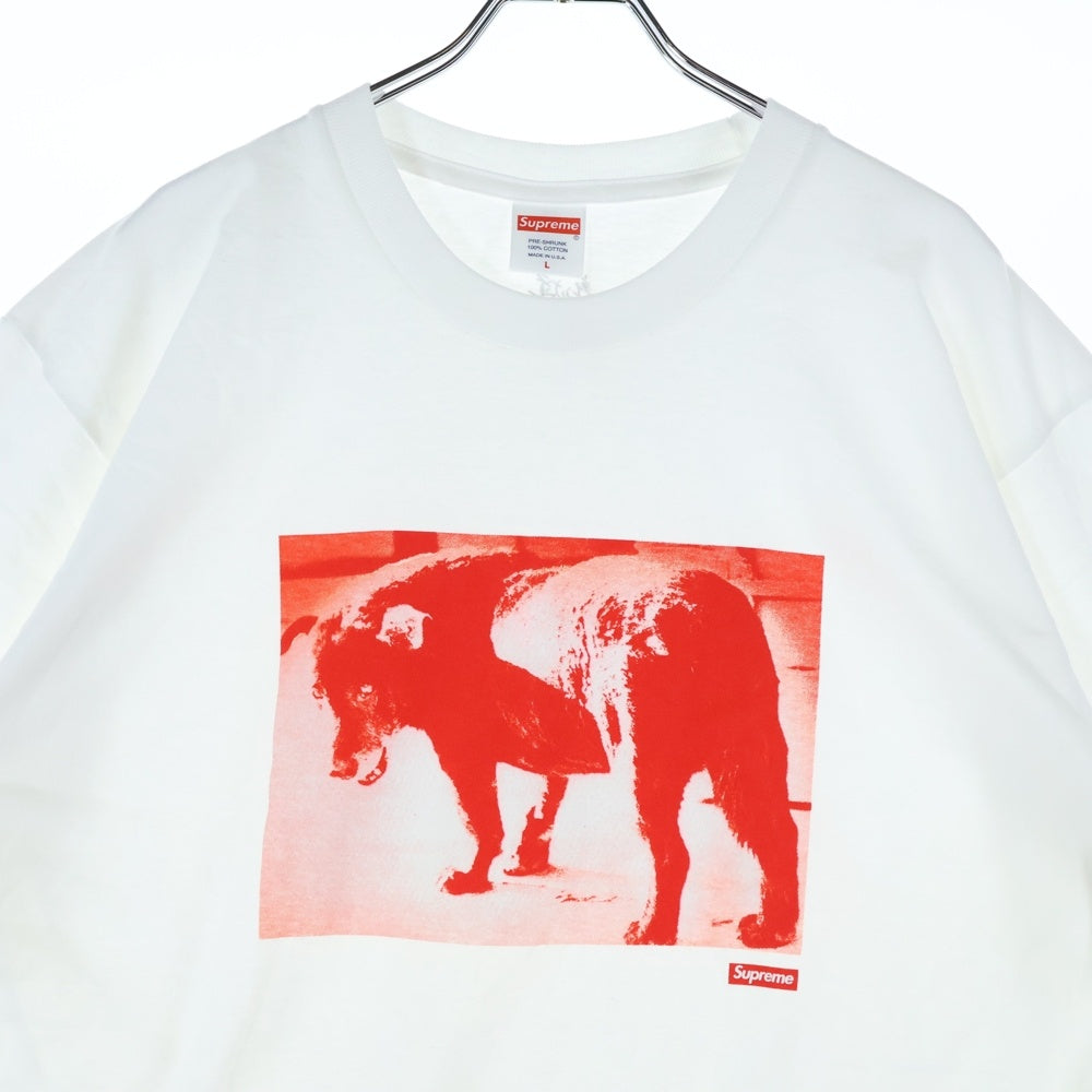 SUPREME(シュプリーム) 22SS Daido Moriyama Dog Tee 森山大道 ドッグ フォトプリント クルーネック 半袖Tシャツ カットソー ホワイト