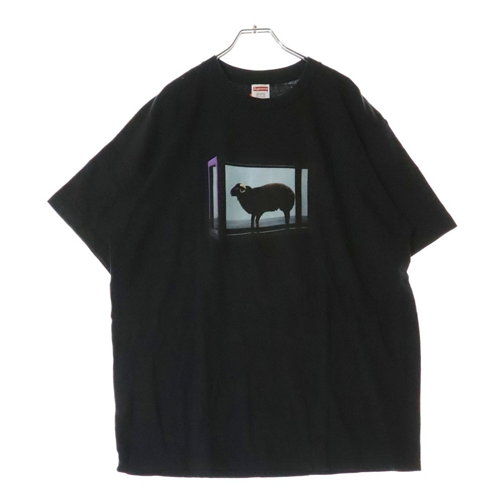 SUPREME(シュプリーム) 25SS Damien Hirst Tee ダミアンハースト プリント クルーネック 半袖Tシャツ カットソー ブラック