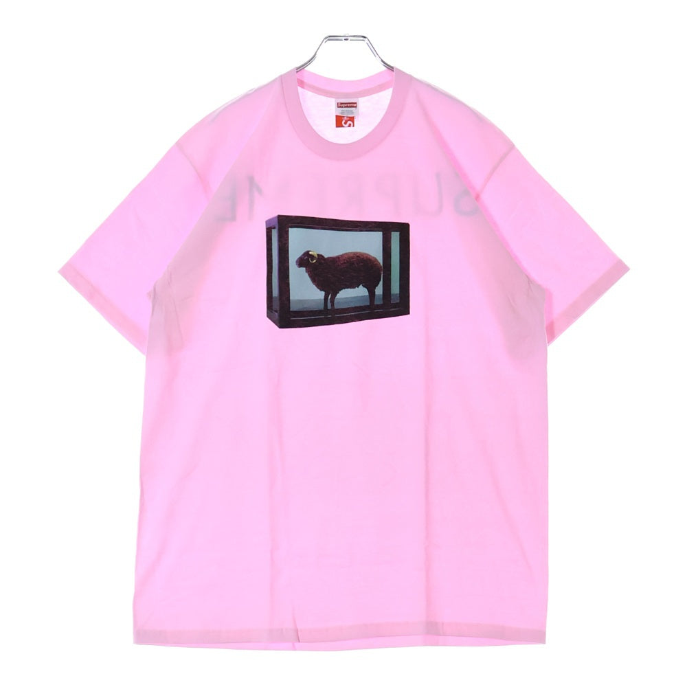 SUPREME(シュプリーム) 25SS Damien Hirst Tee ダミアンハースト プリント クルーネック 半袖Tシャツ カットソー ピンク