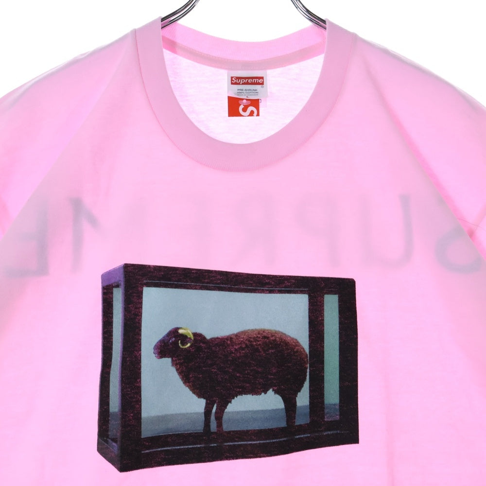 SUPREME(シュプリーム) 25SS Damien Hirst Tee ダミアンハースト プリント クルーネック 半袖Tシャツ カットソー ピンク