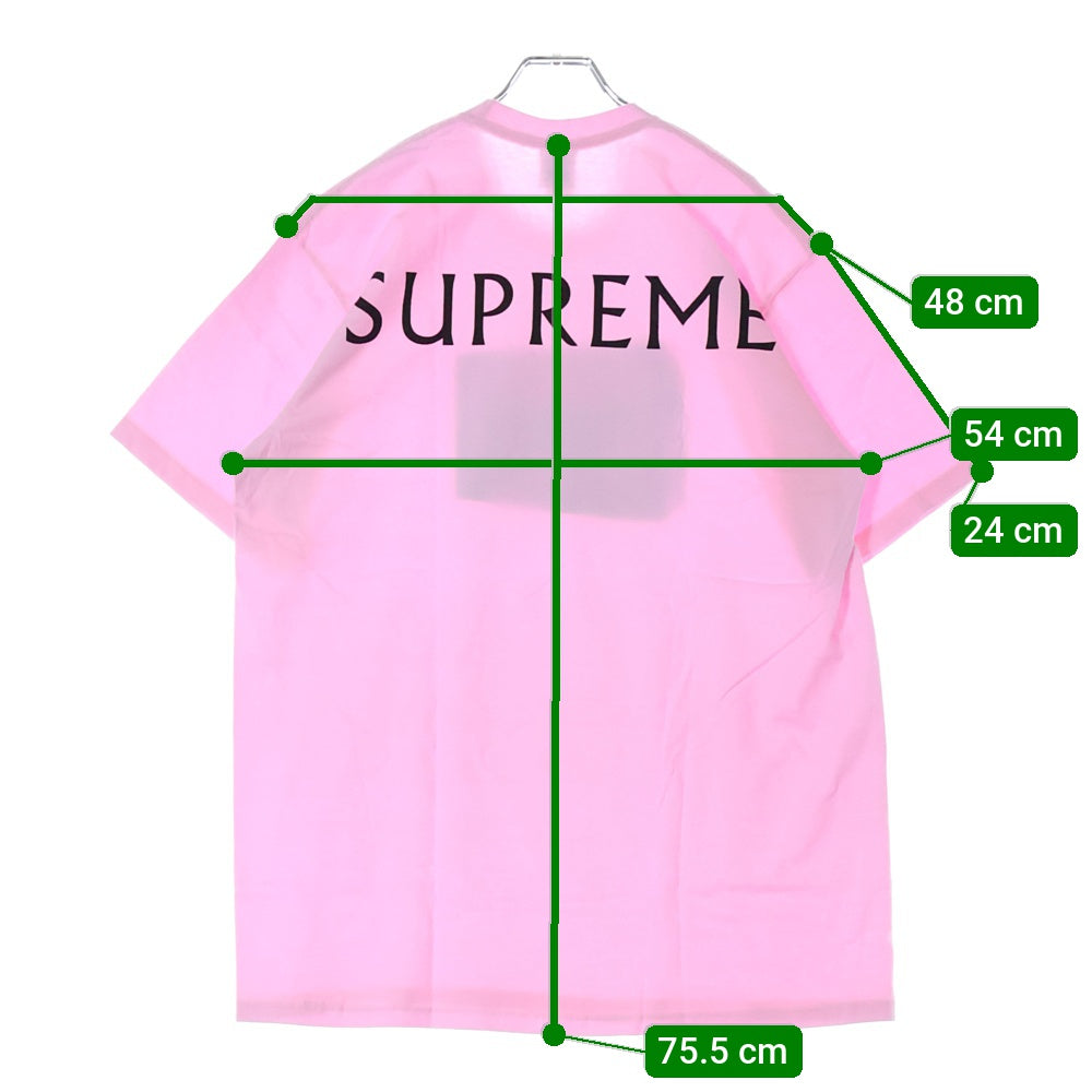 SUPREME(シュプリーム) 25SS Damien Hirst Tee ダミアンハースト プリント クルーネック 半袖Tシャツ カットソー ピンク
