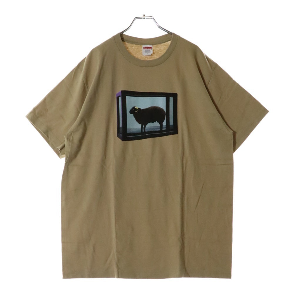 SUPREME(シュプリーム) 25SS Damien Hirst Tee ダミアンハースト プリント クルーネック 半袖Tシャツ カットソー ベージュ