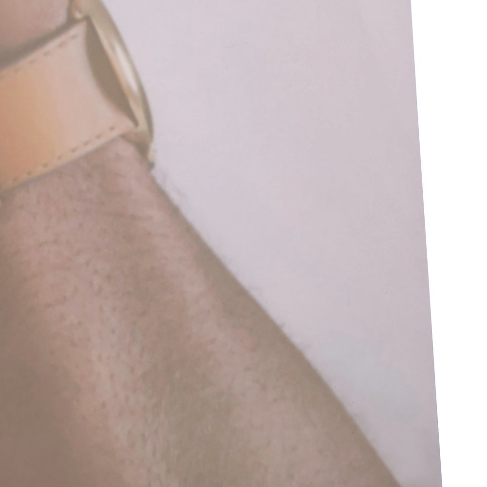 SUPREME(シュプリーム) 24AW × Tyler The Creator Poster タイラーザクリエイター フォト ポスター マルチ