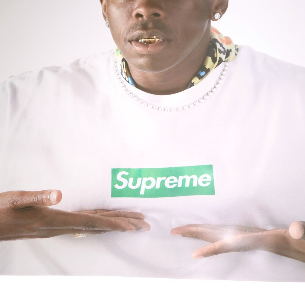 SUPREME(シュプリーム) 24AW × Tyler The Creator Poster タイラーザクリエイター フォト ポスター マルチ