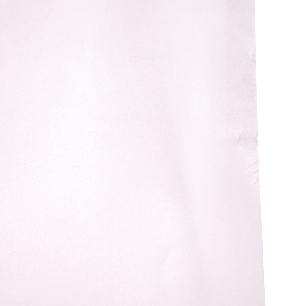 SUPREME(シュプリーム) 24AW × Tyler The Creator Poster タイラーザクリエイター フォト ポスター マルチ