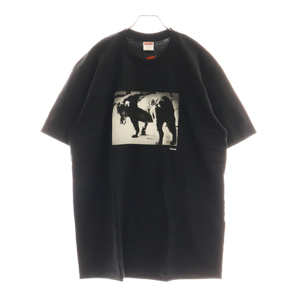 SUPREME(シュプリーム) 22SS Daido Moriyama Dog Tee 森山大道 ドッグ フォトプリント クルーネック 半袖Tシャツ カットソー ブラック